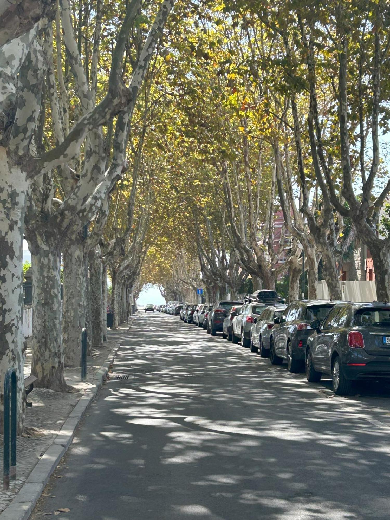 Mar Verde - Parede-Cascais Eksteriør billede